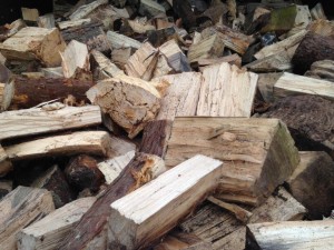 soft and hardwood logs for sale