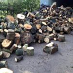 freshly cut wood for fires in the yard