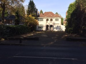 after photo of oak removal