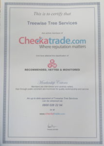 Treewise Checkatrade certificate